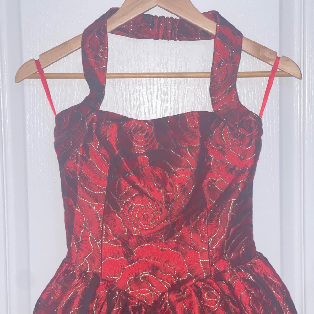 VIPER MINI DRESS lROSE PRINT $139 Elegant Red Halter Dress Textured Floral XS - Picture 3 of 12